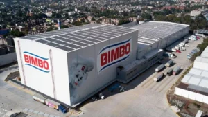 grupo-bimbo-rusia_crop1651010062873.jpg_554688468