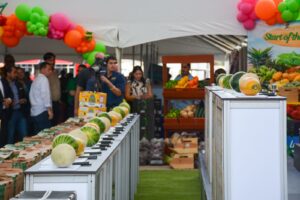 WhatsApp Image 2025-10-09 at 7.51.58 PM