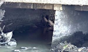 SDU-111-2025.-Atienden-la-PAUT-posible-riesgo-ambiental-en-El-Mante-por-fuga-en-drenaje-850x500