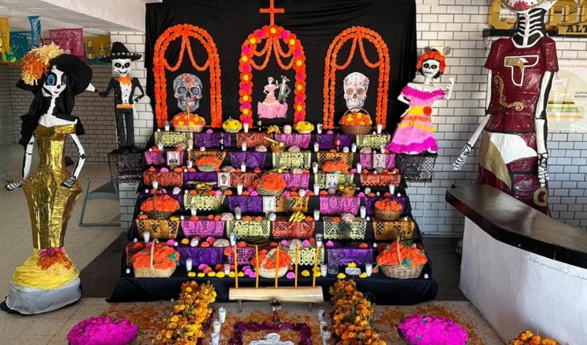 SSP-350-2025.-Preservan-en-el-CEDES-de-Altamira-tradicion-del-Dia-de-Muertos-9-850x500