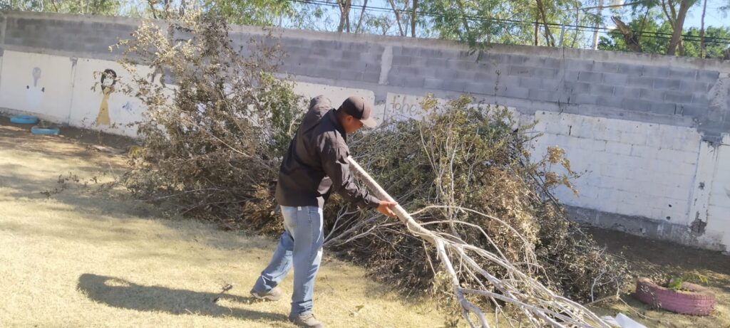 WhatsApp Image 2025-11-10 at 9.12.52 AM