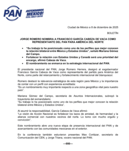 Captura de pantalla 2025-12-09 212516