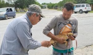 SST-180-2025.-Realiza-SST-campana-preventiva-para-la-deteccion-de-rickettsiosis-850x500