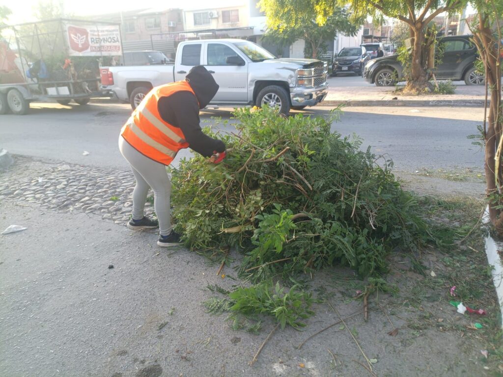 IMG-20260114-WA0055