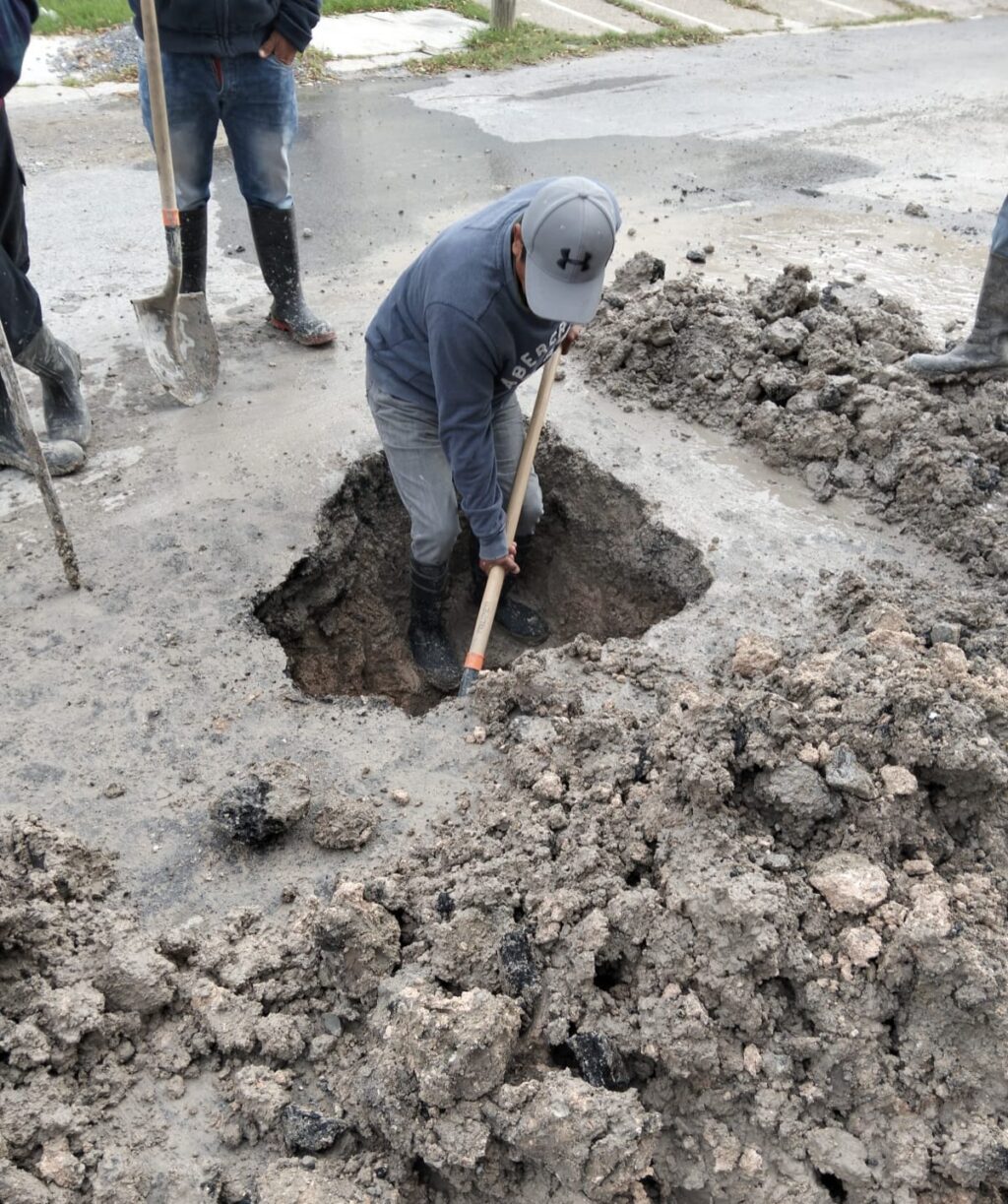 WhatsApp Image 2026-01-02 at 2.44.40 PM (1)