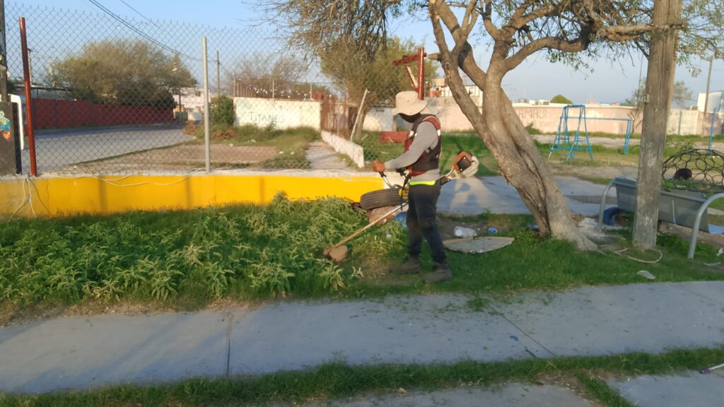 WhatsApp Image 2026-01-05 at 3.33.44 PM (1)