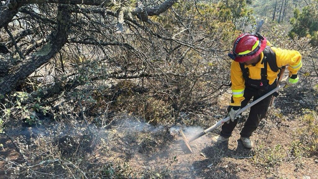 CPC-004-2026.-Refuerza-Gobierno-de-Tamaulipas-acciones-coordinadas-para-el-control-de-incendio-forestal-en-Miquihuana-1
