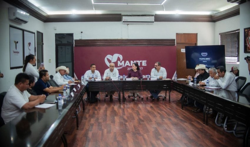 SRU-031-2026.-Coordinan-Estado-y-Federacion-apoyos-para-fortalecer-la-produccion-de-cana-en-Tamaulipas-4-850x500