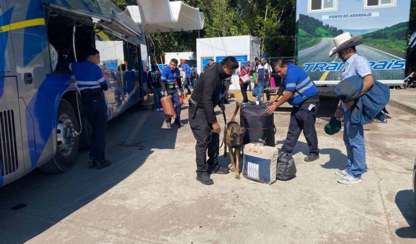 SSP-040-2026.-Guardia-Estatal-refuerza-vigilancia-con-binomios-caninos-en-la-Central-de-Autobuses-de-Victoria-8-850x500
