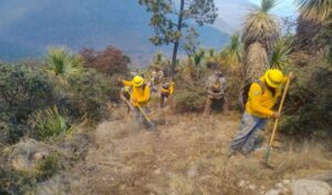 CPC-005-2026.-Refuerzan-operativo-interinstitucional-para-combatir-incendio-forestal-en-Miquihuana-3-850x500