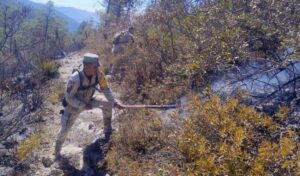 CPC-006-2026.-Avanza-al-70-el-control-del-incendio-forestal-Puerto-del-Volcan-en-Miquihuana-3-850x500