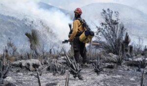 CPC-011-2026.-Tamaulipas-logra-la-liquidacion-total-del-incendio-forestal-en-Bustamante-2-850x500