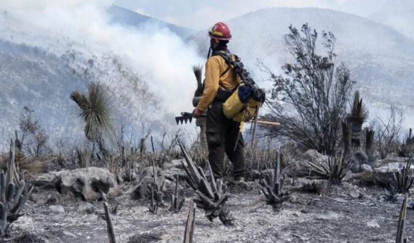 CPC-011-2026.-Tamaulipas-logra-la-liquidacion-total-del-incendio-forestal-en-Bustamante-2-850x500