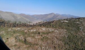 SGG-014-2026.-Controlado-incendio-forestal-Puerto-del-Volcan-en-Miquihuana-3-850x500