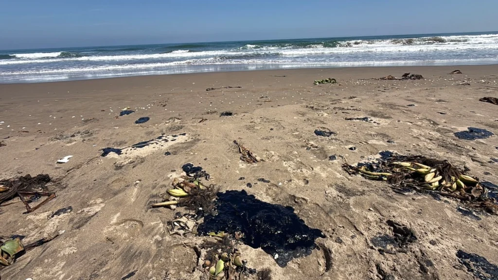 no-hay-derrame-en-playas-de-veracruz-asegura-gobernadora-se-investiga-origen-del-chapopote_ec821b4f-3b5d-4e0c-b65c-a8379f7b6e86_medialjnimgndimage=fullsize