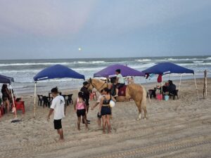IMG-20260402-WA0112