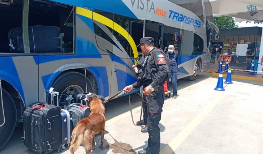 SSP-142-2026.-Fortalece-Guardia-Estatal-vigilancia-en-central-de-autobuses-3-850x500