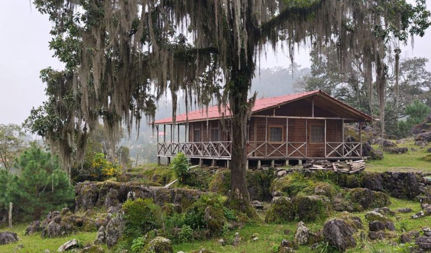 STU-072-2026.-Gomez-Farias-refugio-natural-en-Tamaulipas-4-850x500