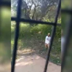 Colono israelí agrede vivienda de periodista palestino en Cisjordania