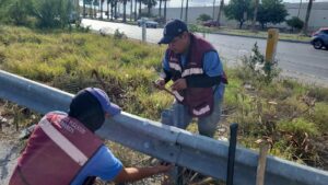 IMG-20260505-WA0118