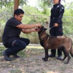 Refuerza SSPT medidas de protección a elementos caninos de la Guardia Estatal ante altas temperaturas