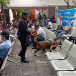 Agrupamiento canino de la Guardia Estatal mantiene inspecciones en Central de Autobuses