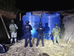 incautan-110-mil-litros-de-huachicol-en-el-municipio-de-abasolo-guanajuato_c41b4f24-09f7-4755-8592-3444d34bd515_medialjnimgndimage=fullsize