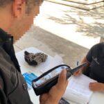 Certifican a Guardia Estatal en competencias básicas para mantener su permanencia