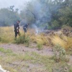 Guardia Estatal sofoca incendio de pastizal que afectaba visibilidad en carretera Casas-Soto la Marina
