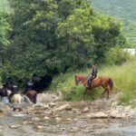 Agrupamiento Montado de la Guardia Estatal refuerza vigilancia en zonas de difícil acceso