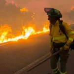 El incendio más devastador del siglo en España provoca 12 muertes en la provincia de Almería