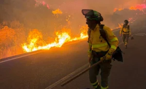 mueren-12-personas-al-intentar-huir-de-incendio-en-el-sur-de-espana_f05bf998-3b48-43b6-ae1a-d75a32969668_medialjnimgndimage=fullsize