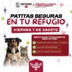 Patitas Seguras va de gira, visitará albergues de animales en Reynosa