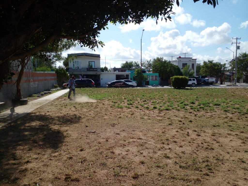 IMG-20260809-WA0016