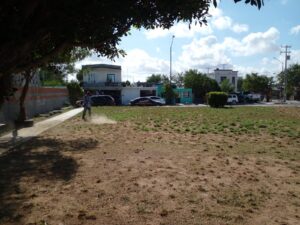 IMG-20260809-WA0016