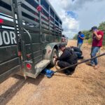 Guardia Estatal auxilia a viajeros con cambio de neumático