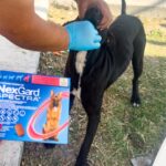 Brindó Gobierno de Reynosa atención veterinaria en la colonia Almaguer