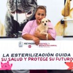 Brindó Gobierno de Reynosa servicio de esterilización a La Casita de Tía Lily